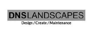 DNS Landscapes
